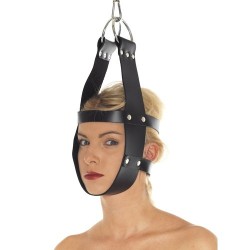 head immobilization harness